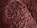 Start Eating Red Rice Today to Get These Surprising Health Benefits