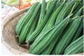 10 Healthy Reasons to Add Ridge Gourds to Your Diet