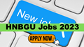 HNBGU Recruitment 2023: Apply for Professor, Associate Professor and Other Positions; Salary and Other Details Inside