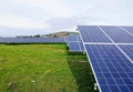 Agrivoltaic Project Set to Become New Zealand’s First Large-Scale Solar Farm