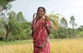 Cluster Development Programme Can Transform Horticulture & Farmers’ Lives: Mallika Verma, Federation of Seed Industry of India