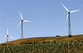 Adani Group to Set up Wind Power Project in Sri Lanka