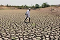 El Nino May Trigger a Drought-Like Condition in India, Warns ICCS Director DS Pai