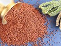 IARI Honours Virudhunagar Farmer for Creating Millet Products Without Preservatives