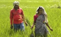 RySS Receives Marico Award for Promoting Natural Farming in Andhra Pradesh