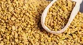 Zinc as Crop Nutrition in Fenugreek