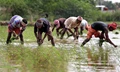 TN Farmers Seek Support from Odisha Agriculture Minister