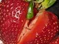 Strawberries in Australia contaminated with needles