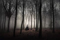 World’s Most Haunted Forests