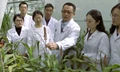 Chinese Researchers Discover Gene Linked to Crop Alkali Tolerance