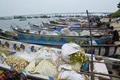 Tamil Nadu to Receive Significant Funding for Fisheries Sector from Centre
