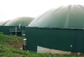 Compressed Biogas Emerges as Sustainable Alternative to Fossil Fuels