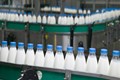 Dairy Farmers to Benefit from New Dairy Plants Installed to Boost UP's Milk Production