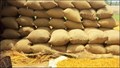 Inadequate Storage Facilities Leave Farmers in Sangrur Disappointed