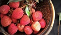 From Cooking to Medicinal Uses, Here's How You Can Use Lychees This Summer!