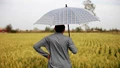 Unseasonal Showers Put Crops at Risk, IMD Warns Farmers