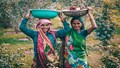 From Women Development to Women-Led Development: Empowering Women in Agriculture