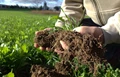 Boosting Agricultural Productivity with Soil Health Management