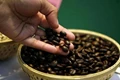 India's coffee exports to grow by 2% in 2023-24 on rising demand: USDA forecast