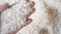 Rice Millers Advocate for Inclusion of Parboiled Rice in Rabi Season to Benefit Ryots