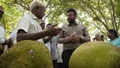 ‘Cauvery Calling’ Organizes a Spectacular Mega Jackfruit Festival; Thousands of Farmers Join In!