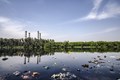 Arsenic Contamination in Food & Water Linked to Cancer, Says Researchers