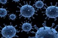 Zoonotic Disease: Understanding Causes, Consequences, and Prevention