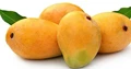 GI tag for "Alphonso' Mango"