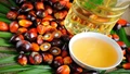 Palm Oil and Soyoil: Lower Prices Led Significant Increase in India's Imports in June