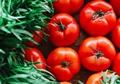 Tamil Nadu Govt Expands Tomato Sales to 300 Fair Price Shops
