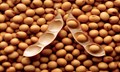 Soyabean Acreage Likely to Reduce as Maharashtra and Madhya Pradesh Cut Area