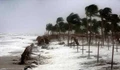 Minor damage reported after cyclone ‘Titli’ crosses Orissa