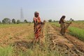 Stakeholder Workshop Meeting Held to Review Progress of Phase-III of MOVCDNER