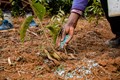 Fake Fertilizer Scam: Maharashtra Takes Legal Action Against Hyderabad-based Company for Deceiving Farmers