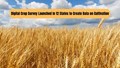 Digital Crop Survey Launched in 12 States to Generate Data on Cultivation