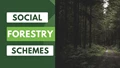 Social Forestry Schemes: Empowering Communities for Sustainable Forest Management