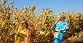India celebrates the day dedicated to women on farm