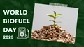 World Biofuel Day 2023: The Essential Solution for Today's Energy Demands