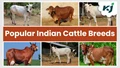 Cattle Breeds in India: List of Best Animal Breeds in India