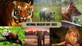 National Wildlife Day 2023: Preserving Biodiversity for Generations