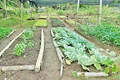 Training on Developments in Organic Agriculture