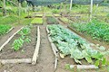 Training on Developments in Organic Agriculture
