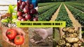 Is Organic Farming Profitable Business in India?