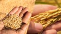Wheat and Rice E-auction Results in Center Selling 1.66 LMT Wheat and 0.17 LMT Rice