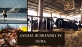 Animal Husbandry Types, Market Size, Growth, & Investment Trends In India