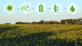 PepsiCo & Walmart Announce Regenerative Agriculture Plan