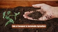 Role of Cocopeat in Sustainable Agriculture