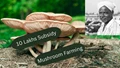 Government Offers 10 Lakhs Subsidy on Mushroom Farming