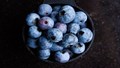 Blueberries Farming: Tips To Start Blueberry Farming, Benefits, & It’s Products