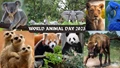 World Animal Day 2023: How to Celebrate, Significance and More